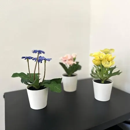 New Studio, 2mn Walk To Monaco Apartment